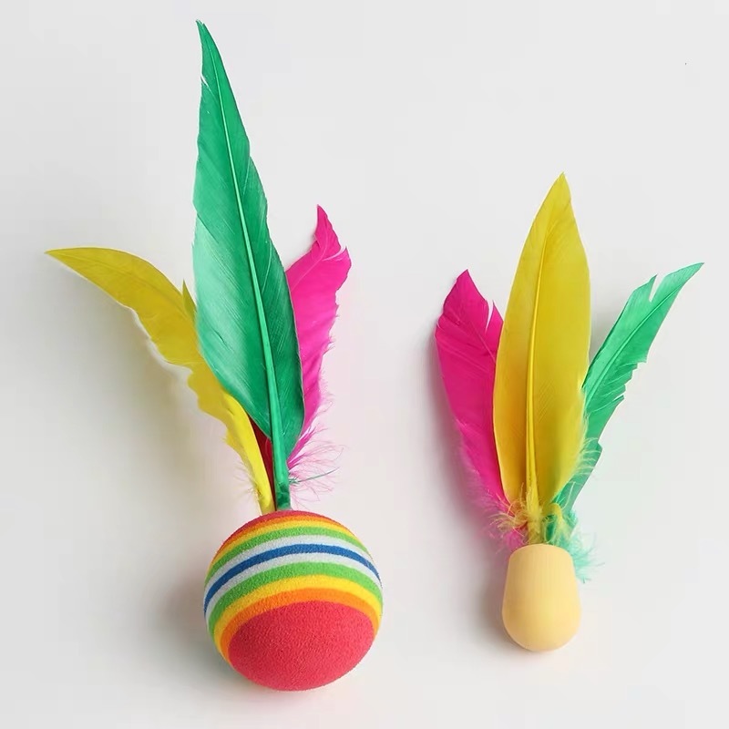 Jazzminton Outdoor Badminton B - đánh giá và giá Feather Shuttlecock