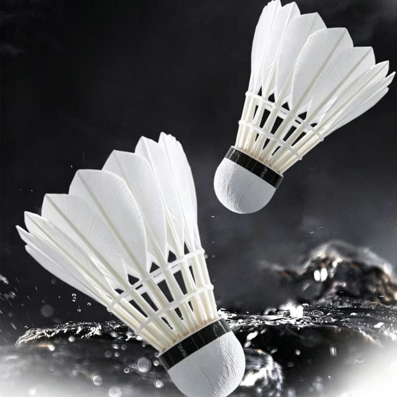 Premium Goose Feather Badminto - đánh giá và giá Feather Shuttlecock