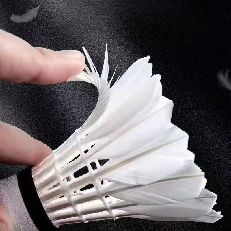 Premium Goose Feather Badminto - đánh giá và giá Feather Shuttlecock