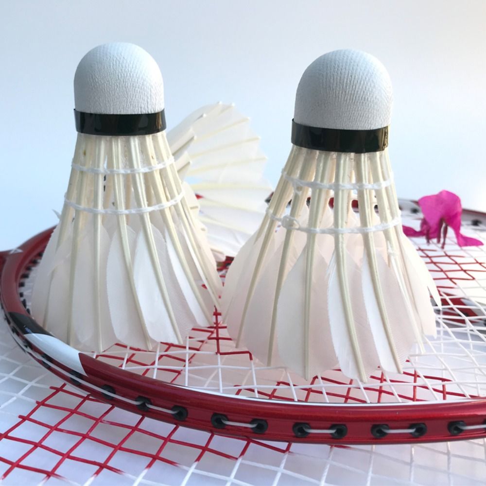 New White Goose Feather Badmin - đánh giá và giá Feather Shuttlecock